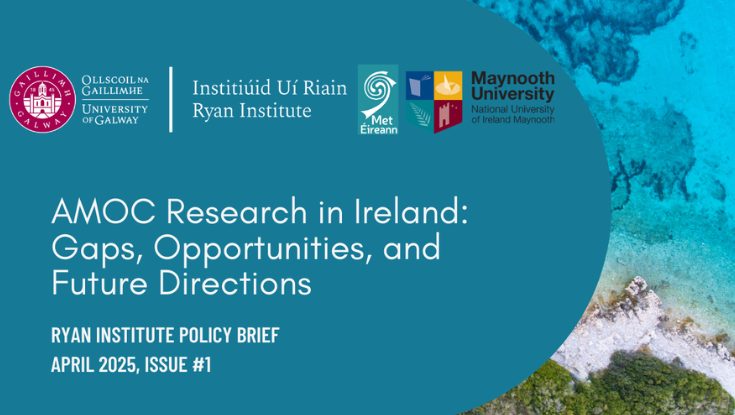 RYAN INSTITUTE POLICY BRIEF